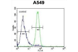 Flow Cytometry (FACS) image for anti-Follistatin-Like 1 (FSTL1) antibody (ABIN2995700)