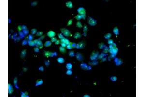 Image provided by One World Lab validation program.