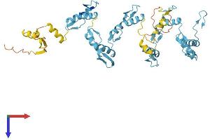 AlphaFold protein structure predicition of Human Recombinant ZNF355P Protein, UniprotID Q9NSJ1