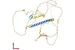 AlphaFold protein structure predicition of Mouse Recombinant Tsc22d4 Protein, UniprotID Q9EQN3
