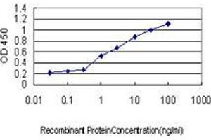 Detection limit for recombinant GST tagged GLRX is approximately 0. (Glutaredoxin 1 anticorps  (AA 1-106))