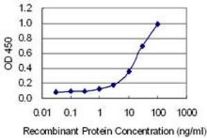 Detection limit for recombinant GST tagged CUX2 is 0.