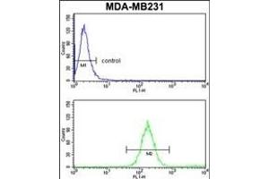 SKIV2L2 Antibody (Center) (ABIN652687 and ABIN2842458) flow cytometry analysis of MDA-M cells (bottom histogram) compared to a negative control cell (top histogram). (MTR4 anticorps  (AA 237-263))