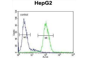 Flow Cytometry (FACS) image for anti-Ceruloplasmin (Ferroxidase) (CP) antibody (ABIN3003152)