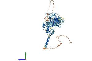 AlphaFold protein structure predicition of Mouse Recombinant Mfrp Protein, UniprotID Q8K480