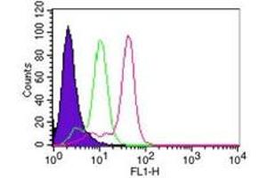 Caspase 8 Flow Cytometry Flow Cytometry of Mouse Anti-Caspase-8 antibody. (Caspase 8 anticorps)