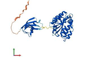 AlphaFold protein structure predicition of Human Recombinant ISOC1 Protein, UniprotID Q96CN7