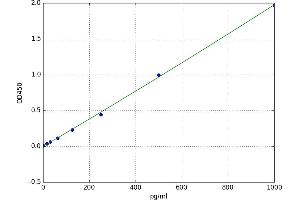 A typical standard curve