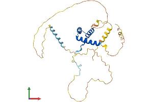 AlphaFold protein structure predicition of Human Recombinant HOXD8 Protein, UniprotID P13378