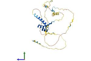 AlphaFold protein structure predicition of Mouse Recombinant Pdx1 Protein, UniprotID P52946