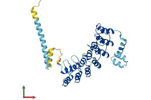 AlphaFold protein structure predicition of Human Recombinant ASB11 Protein, UniprotID Q8WXH4