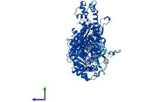 AlphaFold protein structure predicition of Human Recombinant MTHFD1 Protein, UniprotID P11586