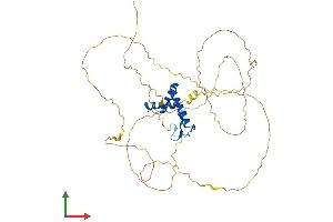 AlphaFold protein structure predicition of Human Recombinant SOX11 Protein, UniprotID P35716