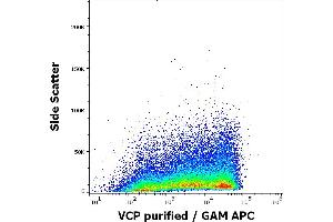 Flow cytometry intracellular staining pattern of human sperm cells stained using anti-VCP (Hs-14) purified antibody (concentration in sample 9 μg/mL) GAM APC.