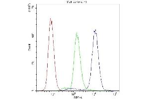 Flow Cytometry analysis of A431 cells using anti-PTP4A2 antibody (ABIN3043911).