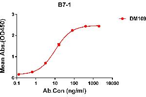 ELISA plate pre-coated by 2 μg/mL (100 μL/well) Human B7-1 protein, hFc tagged protein ((ABIN6961158, ABIN7042345 and ABIN7042346)) can bind Rabbit anti-B7-1 monoclonal antibody(clone: DM109) in a linear range of 0. (CD80 anticorps  (AA 35-242))