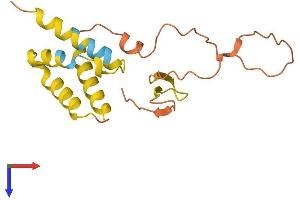AlphaFold protein structure predicition of Human Recombinant FAM86C2P Protein, UniprotID A6NEL3