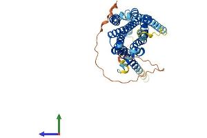 AlphaFold protein structure predicition of Mouse Recombinant Htr4 Protein, UniprotID P97288