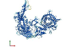 AlphaFold protein structure predicition of Human Recombinant AGL Protein, UniprotID P35573