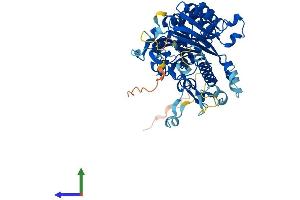 AlphaFold protein structure predicition of Human Recombinant CNOT6L Protein, UniprotID Q96LI5