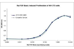SDS-PAGE of Rat Fibroblast Growth Factor basic Recombinant Protein Bioactivity of Rat Fibroblast Growth Factor basic Recombinant Protein. (FGF2 Protéine)