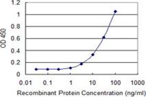 Detection limit for recombinant GST tagged ADAM29 is 0.