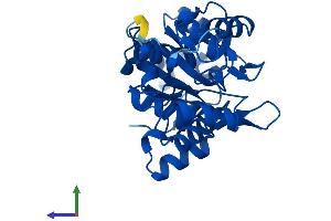 AlphaFold protein structure predicition of Mouse Recombinant Pdxp Protein, UniprotID P60487