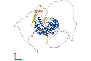 AlphaFold protein structure predicition of Mouse Recombinant Dennd1c Protein, UniprotID Q8CFK6