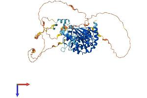 AlphaFold protein structure predicition of Human Recombinant PAK3 Protein, UniprotID O75914