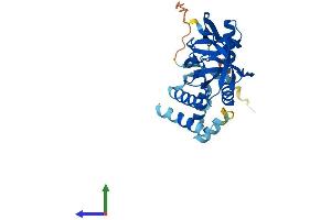 AlphaFold protein structure predicition of Mouse Recombinant Gipc3 Protein, UniprotID Q8R5M0