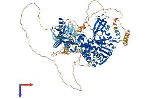 AlphaFold protein structure predicition of Human Recombinant USP20 Protein, UniprotID Q9Y2K6