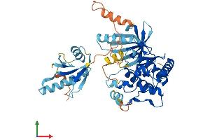 AlphaFold protein structure predicition of Mouse Recombinant Map2k5 Protein, UniprotID Q9WVS7