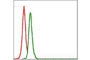 Flow cytometric analysis of MCF-7 cells using SRC mouse mAb (green) and negative control (red).