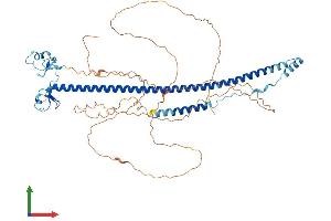 AlphaFold protein structure predicition of Mouse Recombinant Trim29 Protein, UniprotID Q8R2Q0