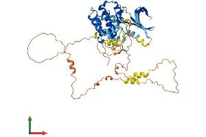 AlphaFold protein structure predicition of Human Recombinant NEK3 Protein, UniprotID P51956