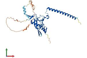 AlphaFold protein structure predicition of Mouse Recombinant Rassf2 Protein, UniprotID Q8BMS9