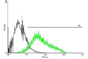 FACS analysis of negative control 293 cells (Black) and P2RX4 expressing 293 cells (Green) using P2RX4 purified MaxPab mouse polyclonal antibody.