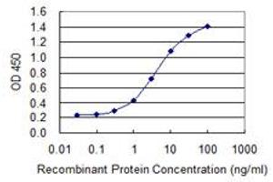 anti-Zinc Finger Protein 287 (ZNF287) (AA 231-330) antibody
