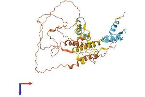 AlphaFold protein structure predicition of Human Recombinant ZNF114 Protein, UniprotID Q8NC26