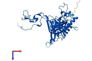 AlphaFold protein structure predicition of Human Recombinant RPL3L Protein, UniprotID Q92901