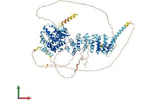 AlphaFold protein structure predicition of Human Recombinant SCYL2 Protein, UniprotID Q6P3W7