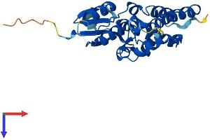 AlphaFold protein structure predicition of Mouse Recombinant Clic5 Protein, UniprotID Q8BXK9