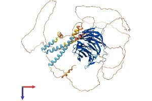 AlphaFold protein structure predicition of Mouse Recombinant Tle2 Protein, UniprotID Q9WVB2