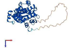 AlphaFold protein structure predicition of Mouse Recombinant Clvs2 Protein, UniprotID Q8BG92