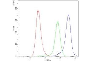 Flow cytometry testing of human A549 cells with Bax antibody at 1ug/10^6 cells (blocked with goat sera)