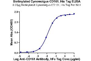 Immobilized Biotinylated Cynomolgus CD161, His Tag at 0.