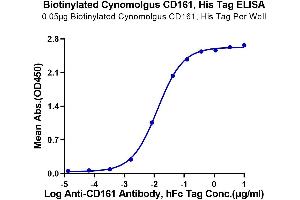 Immobilized Biotinylated Cynomolgus CD161, His Tag at 0. (CD161 Protein (AA 67-227) (His-Avi Tag,Biotin))