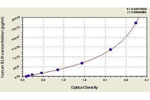 Typical standard curve (Elastin Kit ELISA)