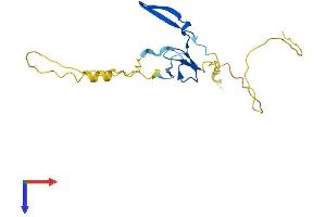 AlphaFold protein structure predicition of Human Recombinant YAF2 Protein, UniprotID Q8IY57