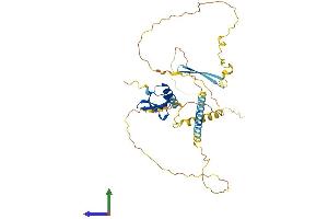 AlphaFold protein structure predicition of Human Recombinant CBX8 Protein, UniprotID Q9HC52